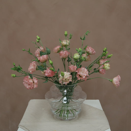 Lisianthus Celeb Maddona