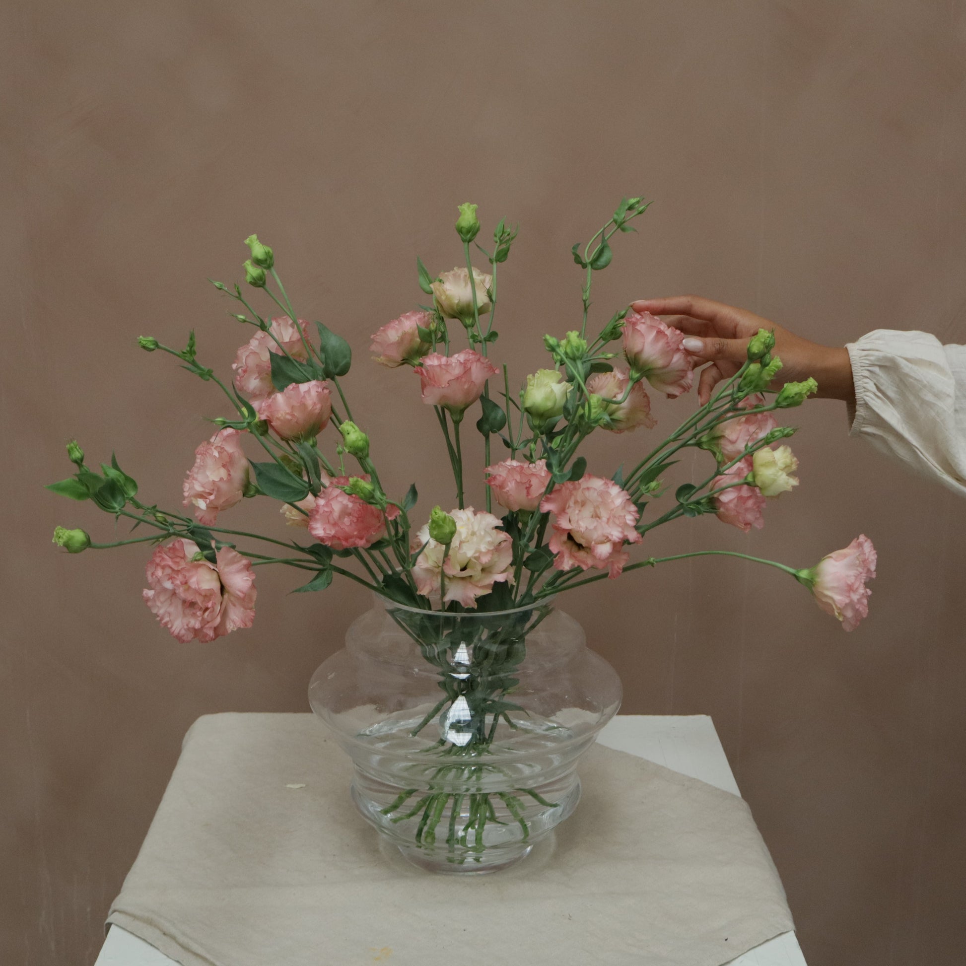 Lisianthus Celeb Maddona