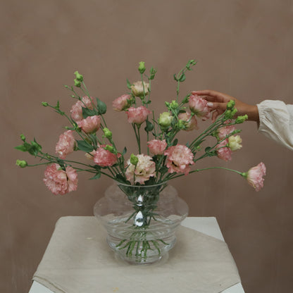 Lisianthus Celeb Maddona