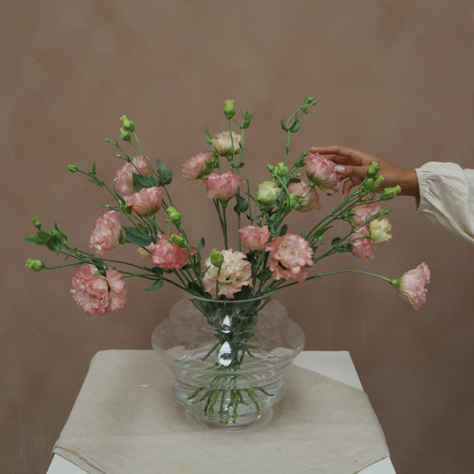 Lisianthus Celeb Maddona