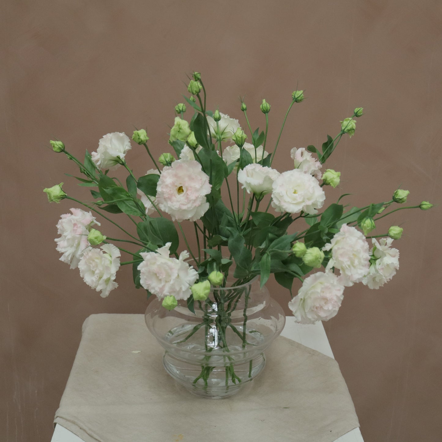 Lisianthus Celeb Pink Diamond
