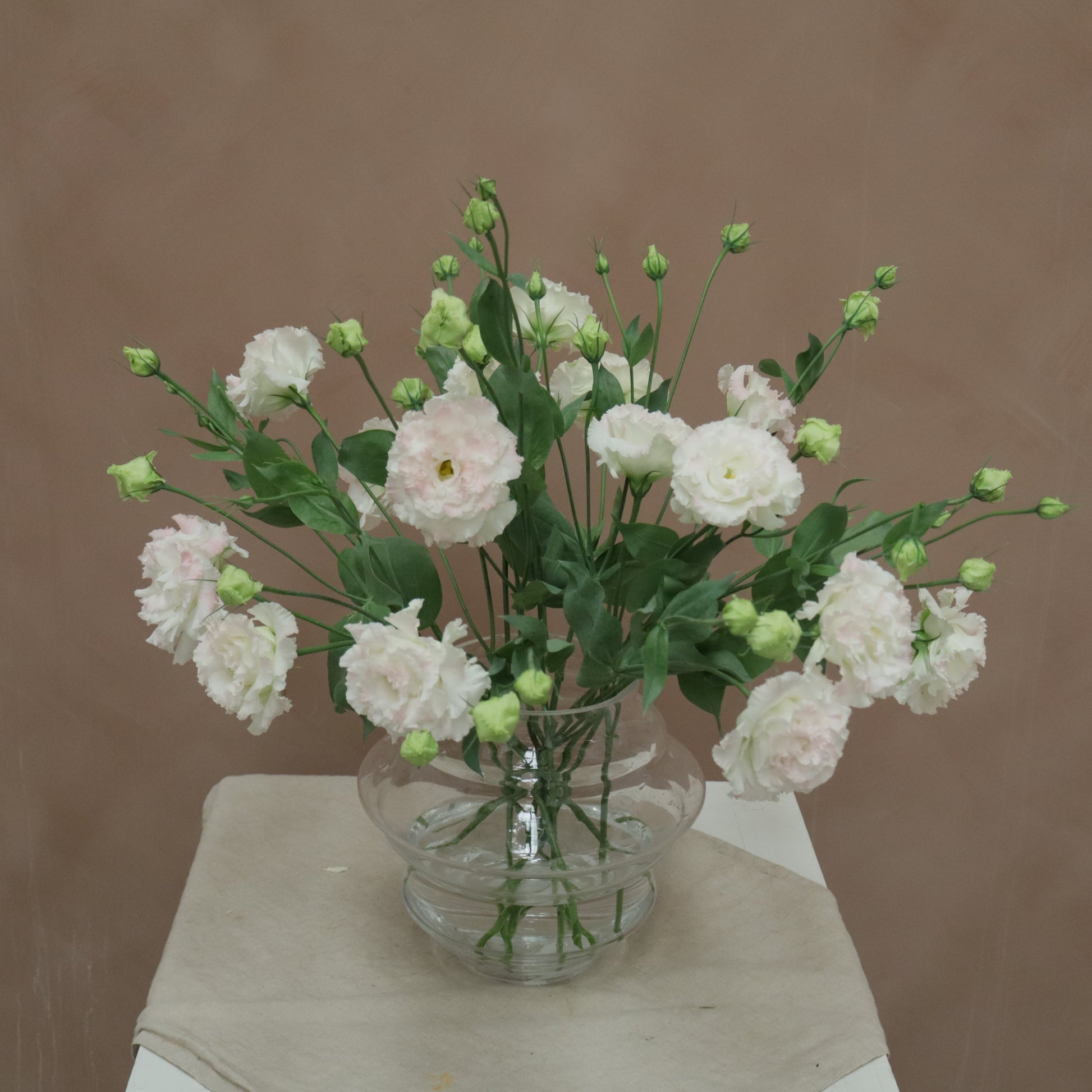 Lisianthus Celeb Pink Diamond