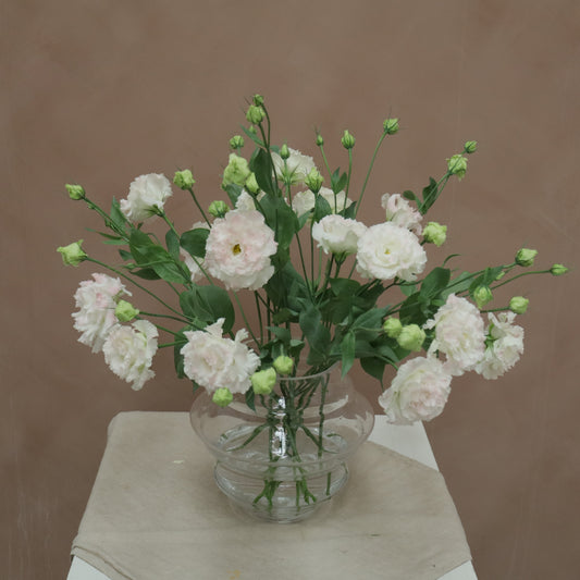 Lisianthus Celeb Pink Diamond