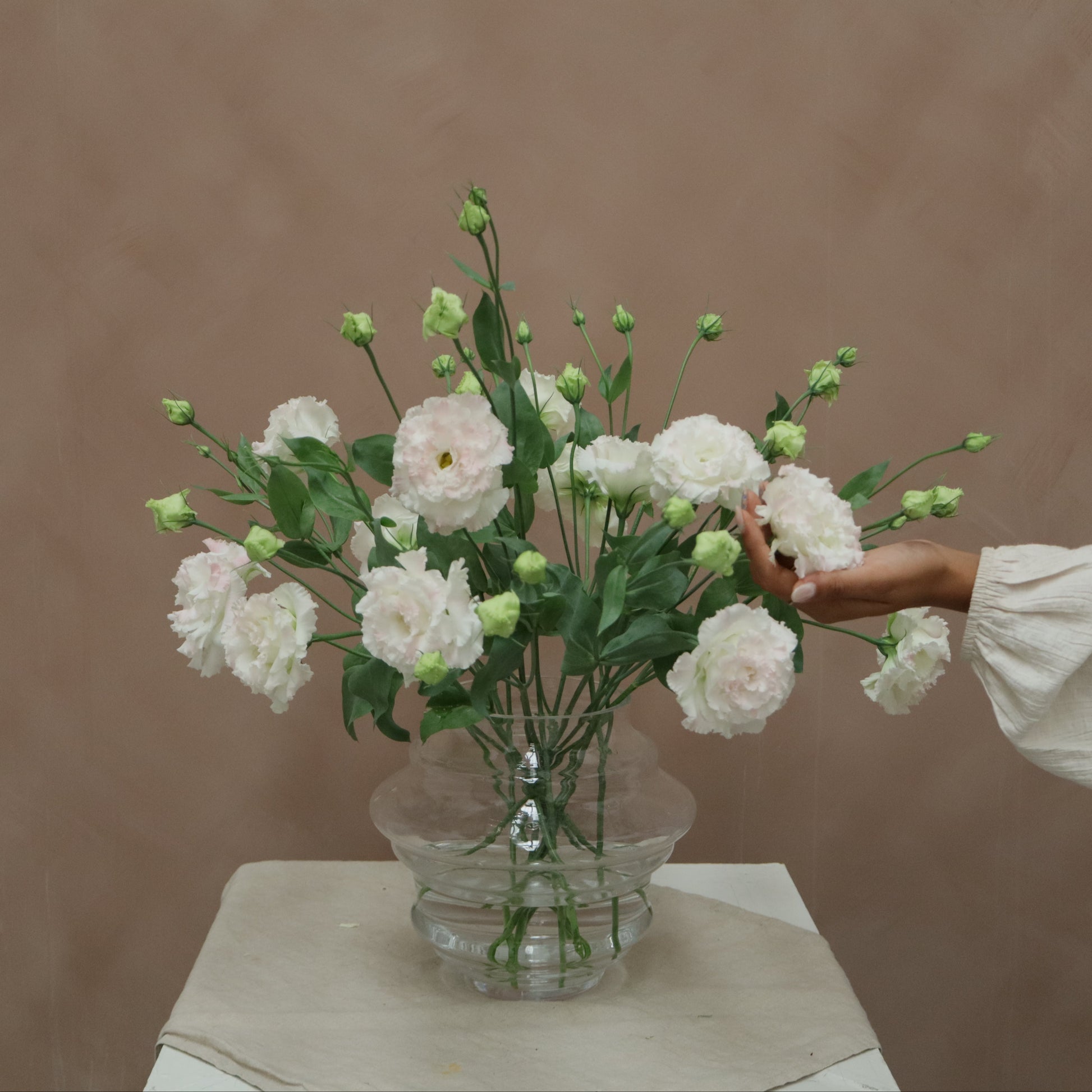 Lisianthus Celeb Pink Diamond