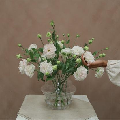 Lisianthus Celeb Pink Diamond
