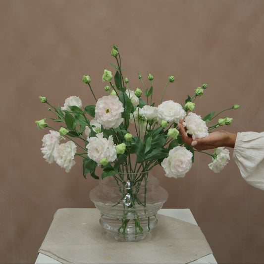 Lisianthus Celeb Pink Diamond