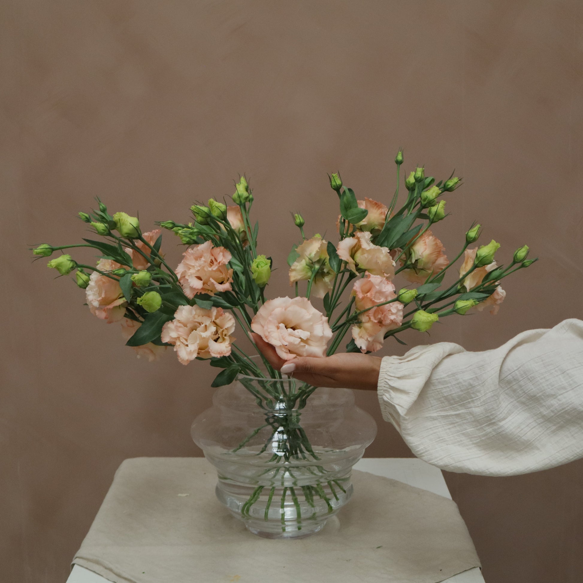 Lisianthus Voyage Light Apricot