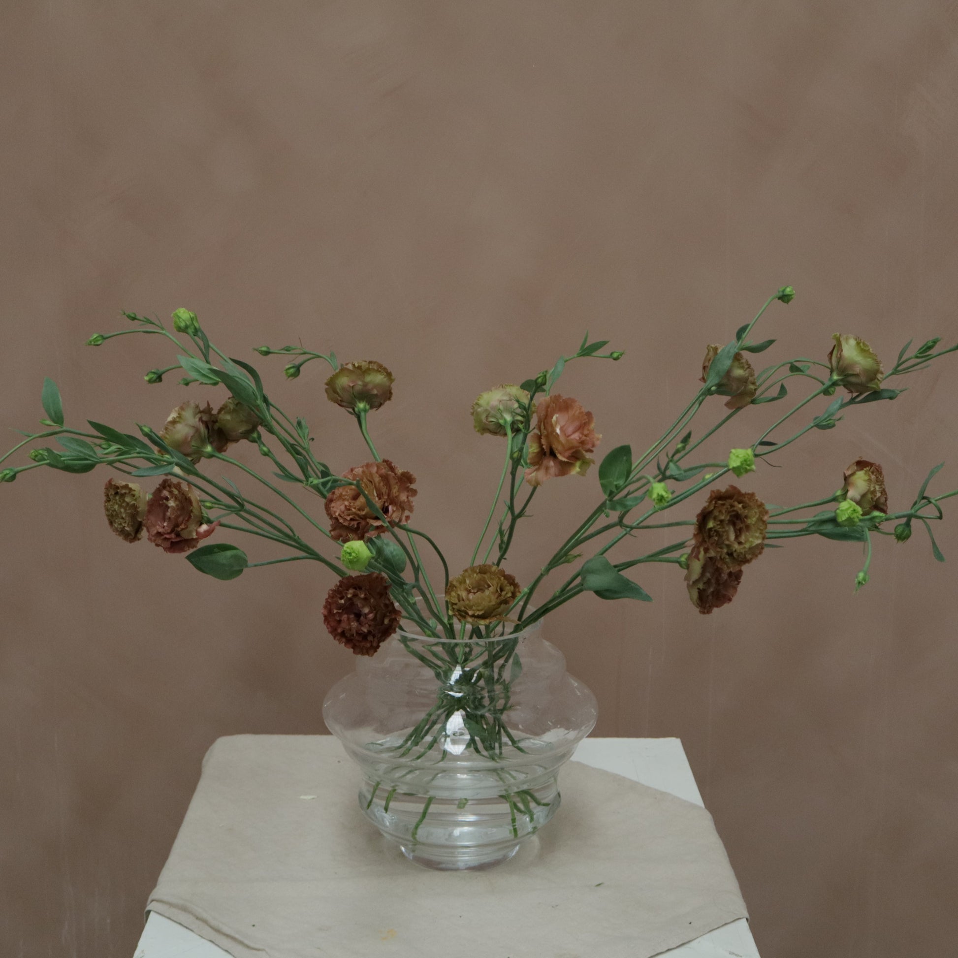 Lisianthus Rossane Terracota