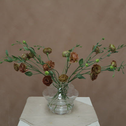 Lisianthus Rossane Terracota