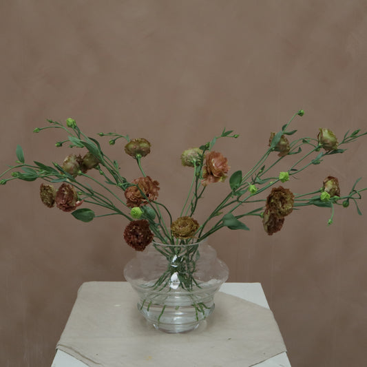 Lisianthus Rossane Terracota