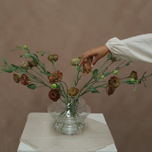 Lisianthus Rossane Terracota