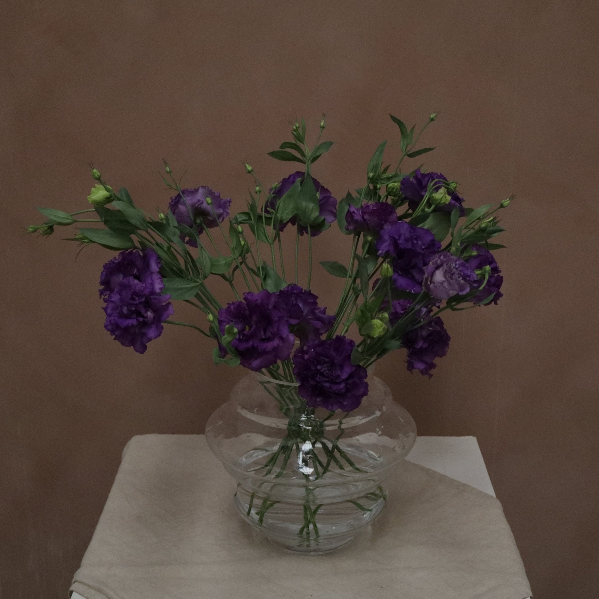 Lisianthus Voyage Blue