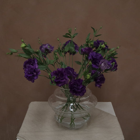 Lisianthus Voyage Blue