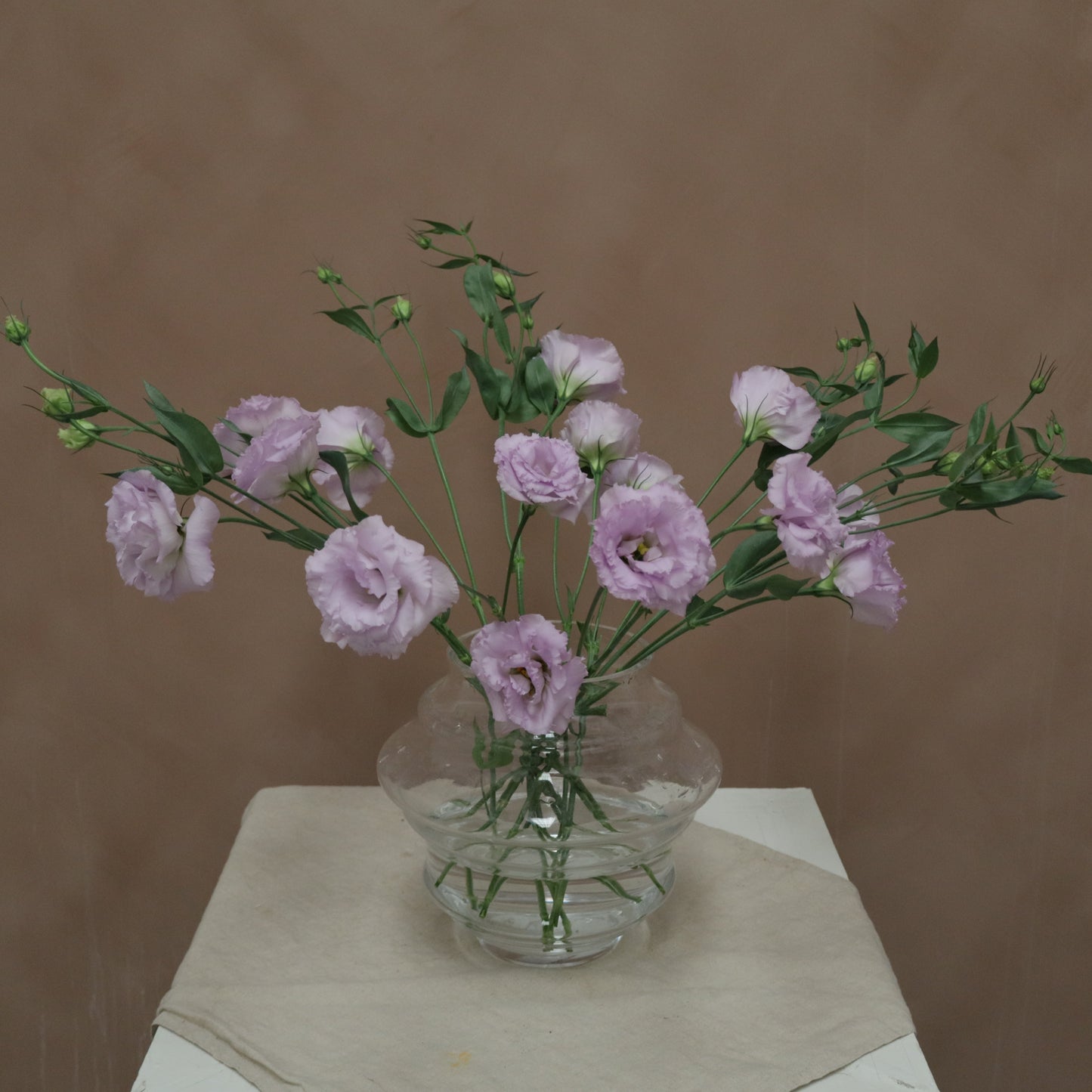 Lisianthus Voyage Lavender