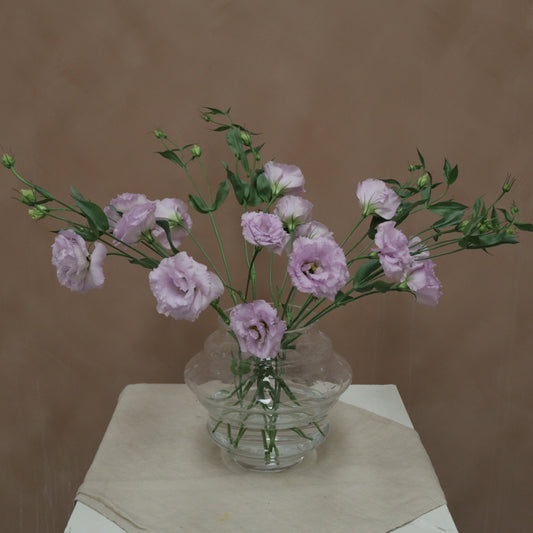 Lisianthus Voyage Lavender