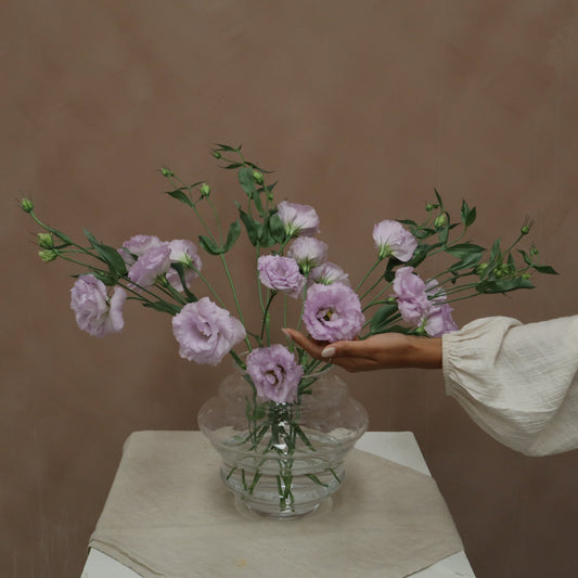 Lisianthus Voyage Lavender