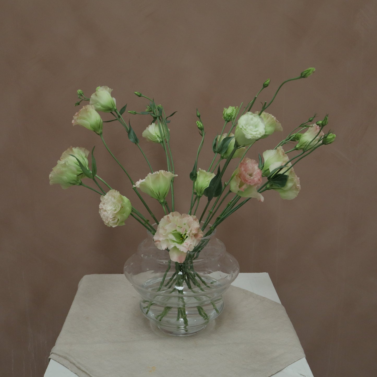 Lisianthus Voyage First love