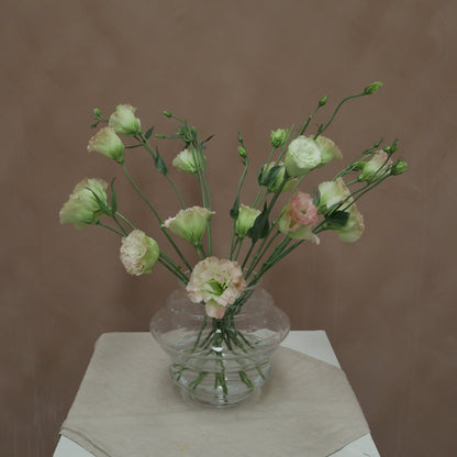 Lisianthus Voyage First love