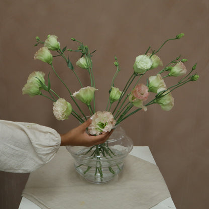 Lisianthus Voyage First love