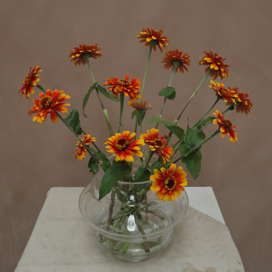 Zinnia Yellow Flame