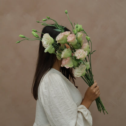 Lisianthus Voyage First love
