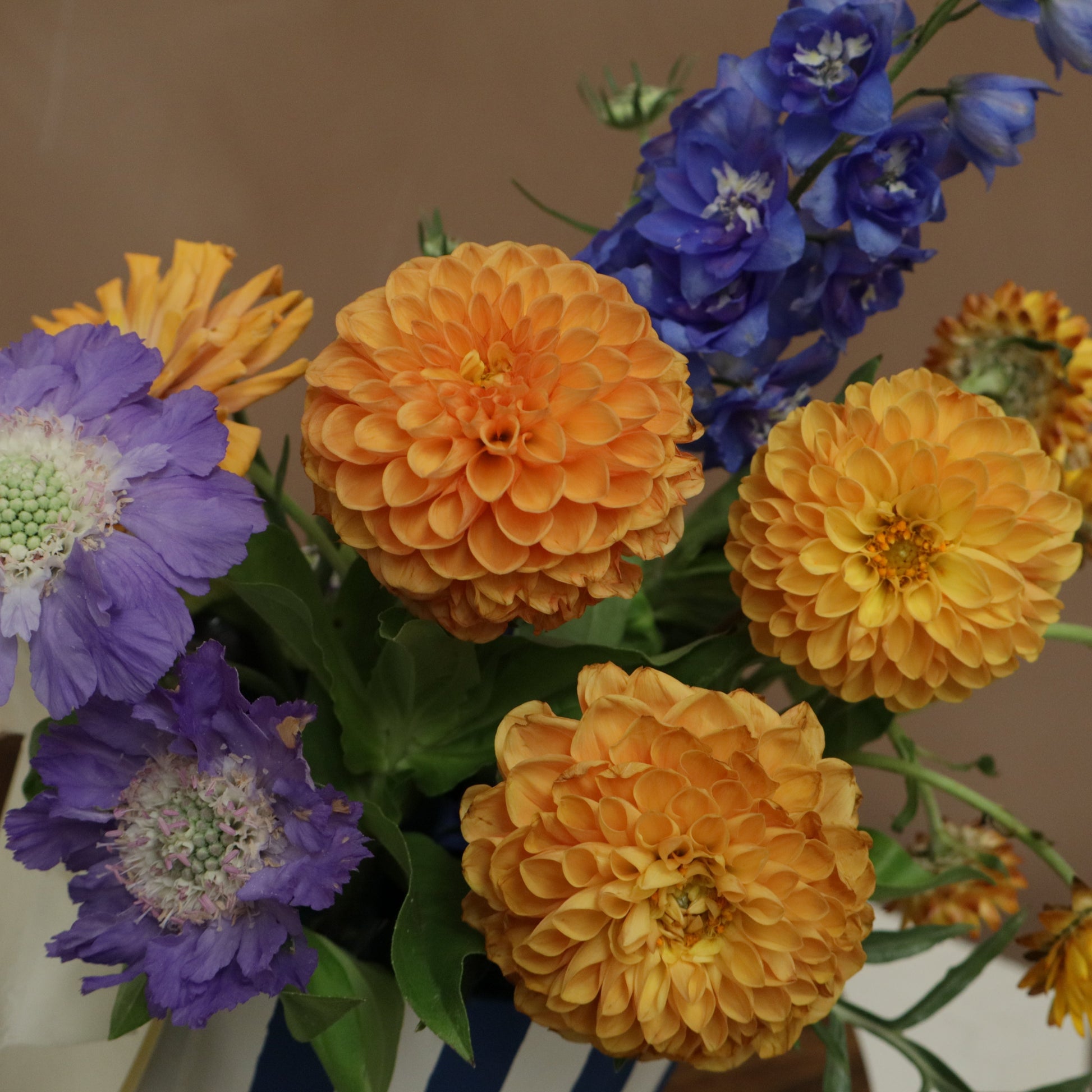 Box Floral Mini