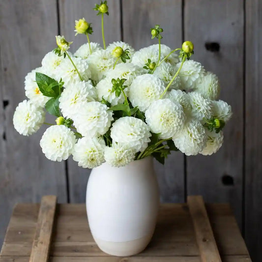 Bunch Floral Mediano